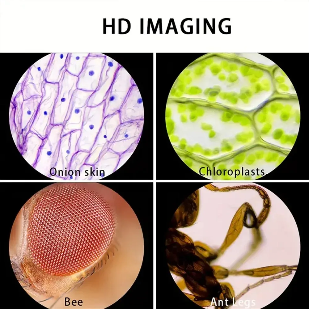 مجهر جيب للأطفال |     شاهد ال - مراجعة Outdoor Adventure Microscope وسعره